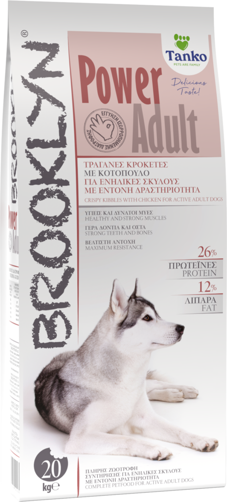 BROOKLYN DOG POWER ADULT