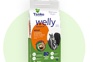 Welly