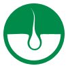 Icon (1)