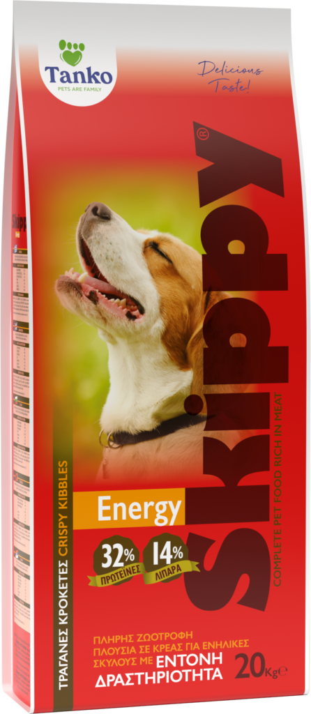 SKIPPY ENERGY