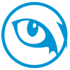 eyes