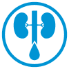 lungs