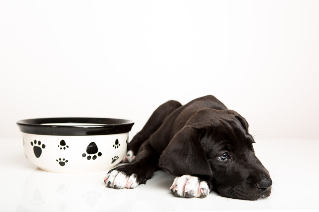 iStock 656028642